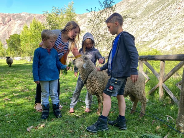 #148 Schwierige Operationen, Auszeit und jede Menge Kultur