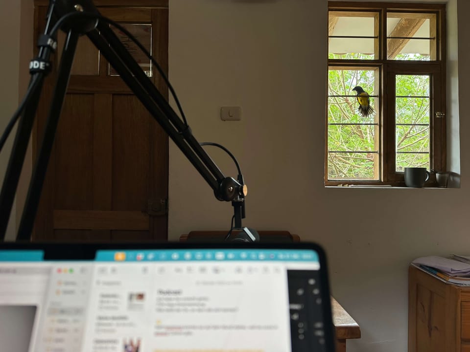 🏔️ #164 Skepsis, tragische Geschichte und „Weiter als gedacht“