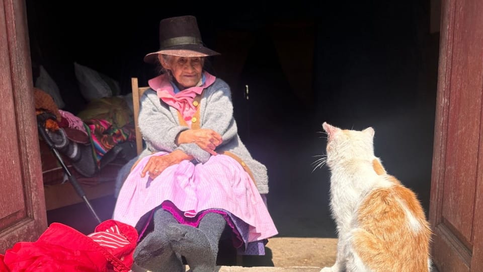 👩🏻‍🏫 #215 Vertrauen, Wahlkampf und das 4. Schulsystem